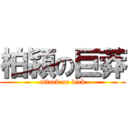 柏潁の巨莽 (attack ur dick)