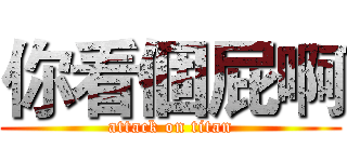 你看個屁啊 (attack on titan)