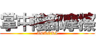 掌中陰部摩擦 (TEKOKI)