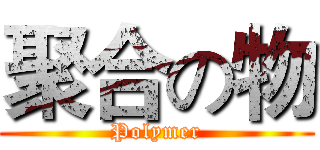 聚合の物 (Polymer)