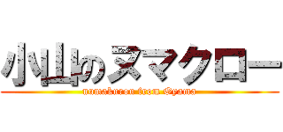 小山のヌマクロー (numakurou from Oyama)