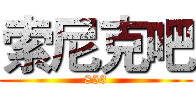 索尼克吧 (853)