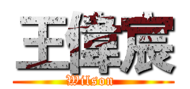 王偉宸 (Wilson )