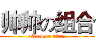 帅帅の组合 (attack on titan)