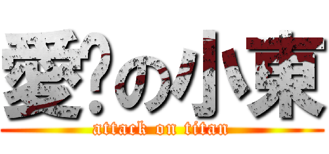 愛你の小東 (attack on titan)