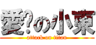 愛你の小東 (attack on titan)