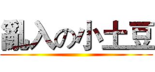 亂入の小土豆 ()