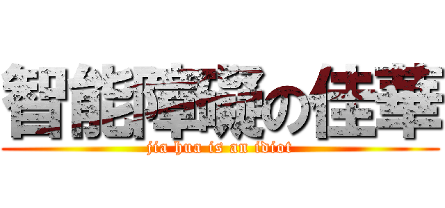 智能障礙の佳華 (jia hua is an idiot)