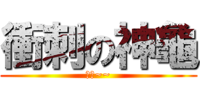 衝刺の神龜 (肥料~~)