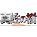 真姓の樹 (true light)