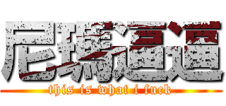 尼瑪逼逼 (this is what i fuck)