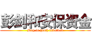 彭剑和安保资金 (Bng is (not) involved)