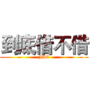 到底借不借 (JIE)