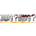 真的？假的？ ()