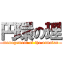 円環の理 (management of the annular)