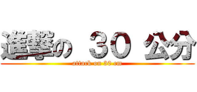進撃の ３０ 公分 (attack on 30 cm)