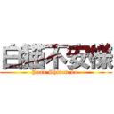 白猫不安様 (Juan Shiraneko )