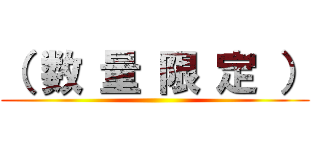 （ 数 量 限 定 ） ( )