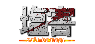 塩害 (salt damage)