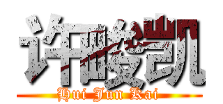 许畯凯 (Hui Jun Kai)