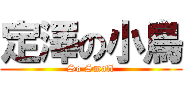 定澤の小鳥 (So Small)