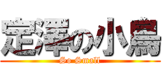 定澤の小鳥 (So Small)