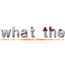 ｗｈａｔ ｔｈｅ (attack on titan)