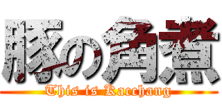 豚の角煮 (This is Kacchang)