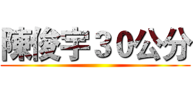 陳俊宇３０公分 ()