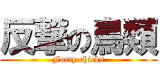 反撃の鳥類 (Forty chicks)