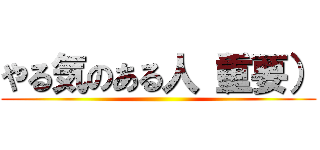 やる気のある人（重要） ()