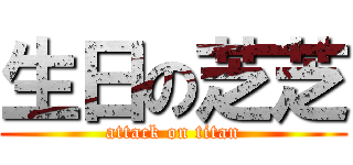 生日の芝芝 (attack on titan)