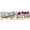 我真的好帥 (attack on titan)