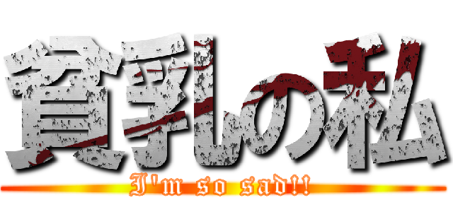 貧乳の私 (I'm so sad!!)