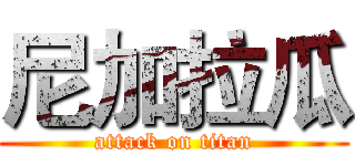尼加拉瓜 (attack on titan)