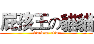 屁孩王の貓貓 (attack on titan)