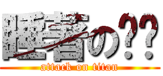 睡著の喵喵 (attack on titan)