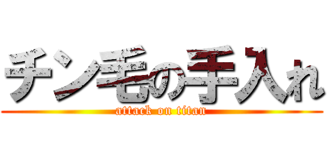 チン毛の手入れ (attack on titan)