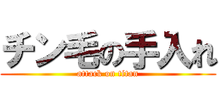 チン毛の手入れ (attack on titan)