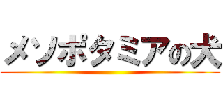 メソポタミアの犬 ()