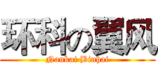 环科の翼风 (Nankai Binhai)