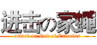 进击の家蠅 (attack on God of Calculus)