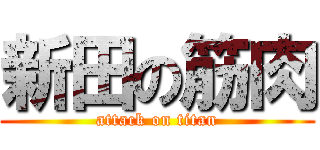 新田の筋肉 (attack on titan)