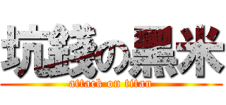 坑錢の黑米 (attack on titan)