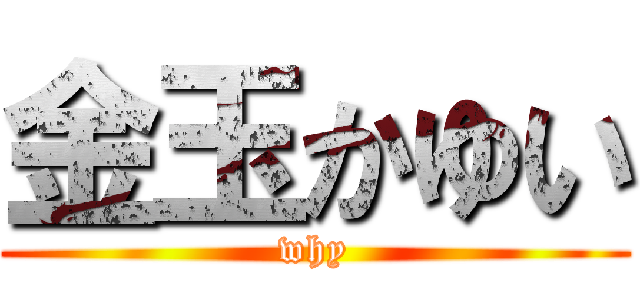 金玉かゆい (why)