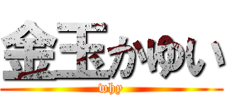 金玉かゆい (why)