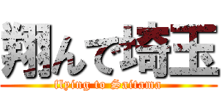 翔んで埼玉 (flying to Saitama)