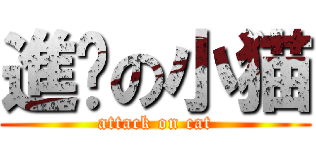 進擊の小猫 (attack on cat)
