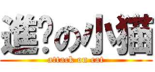 進擊の小猫 (attack on cat)
