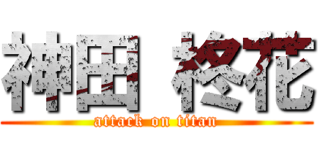 神田 柊花 (attack on titan)